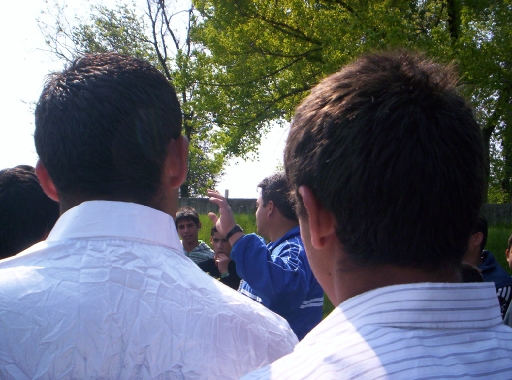 Picture 006